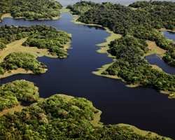 Huge hydroelectric dam approved in Brazil's Amazon