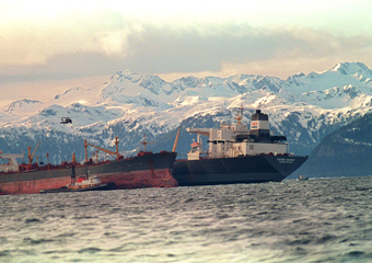 Lessons from the Exxon Valdez disaster