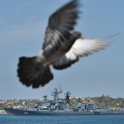 Russia's Black Sea navy is burden for Ukraine