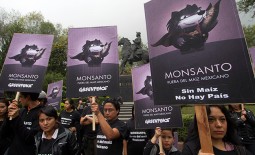 As one of the leading campaigners against genetically modified food changes his mind on its dangers, could the tide be turning its favour?