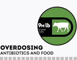 The impact of antibiotics on the food chain