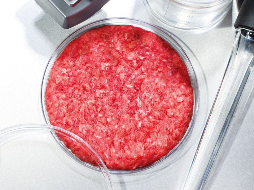 The cases for and against artificial meat The New Economy