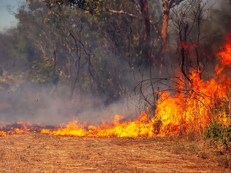 Around the world, wildfires are becoming more frequent and more deadly. New technology can help us stop them before they get out of control